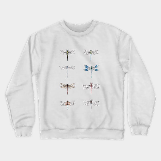 Dragonfly Studies Crewneck Sweatshirt by djrbennett